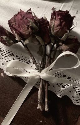 |Jsolnicky| Phiền phức