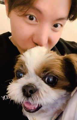 [JUNG HOSEOK] Hobi × You 🤟🤟