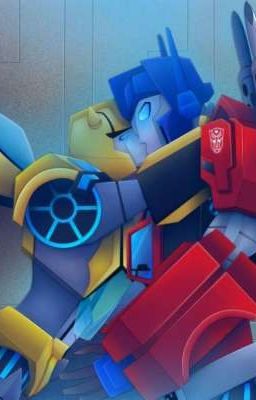 💛Junto a ti hasta que la guerra termine💙 (TF Cyberverse)