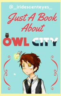 Just A Book About Owl City