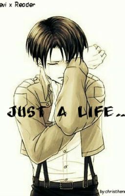 Just a Life... | Levi x Reader [AoT ff] /Felfüggeztett/