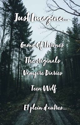 Just Imagine... ✨💋{TW, GOT, TO, TVD et autres}