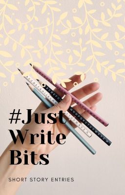 Just Write Bits Entries