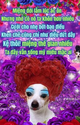 Jv bố
