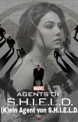 (K)ein Agent von S.H.I.E.L.D. || Agents of S.H.I.E.L.D. [Zwischenband]