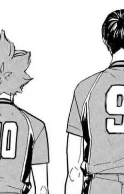 [KageHina - Haikyuu] Tri kỷ