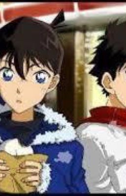 kaishin anh yêu em lắm shinichi