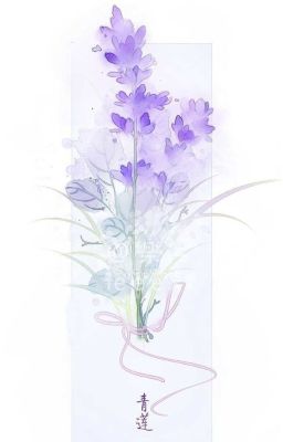 kanaoi - mùi hoa oải hương trên da em