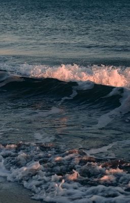 [kangjae] tò mò hại chết mèo