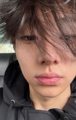 kangwon - chân thành