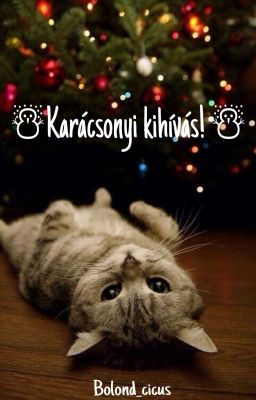 ☃︎ Karácsonyi kihívás! ☃︎