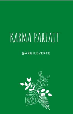 Karma parfait