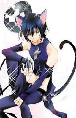 Katekyo Hitman Reborn (Fanfic/Drabble): The Amused Cat who wants to play~