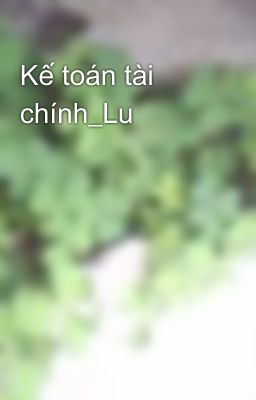 Kế toán tài chính_Lu