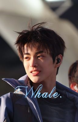 keonho x reader ; Whale. 