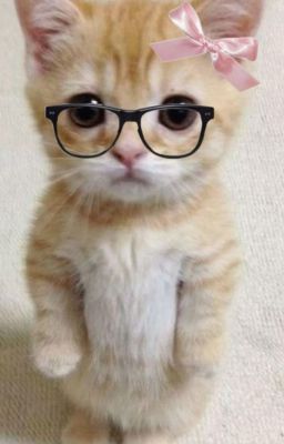 keonhyeon; nerdy