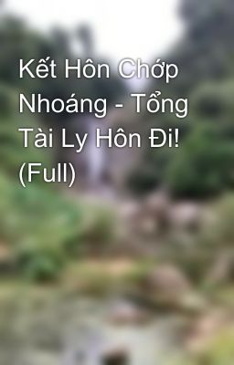 Kết Hôn Chớp Nhoáng - Tổng Tài Ly Hôn Đi! (Full)