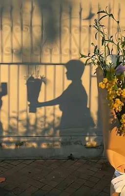 Khi mùa hạ không gọi tên cậu