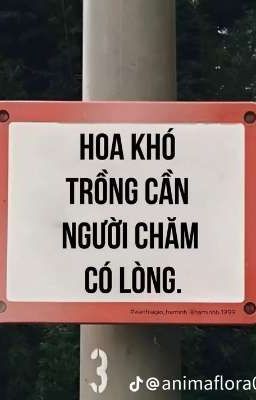 Khó dỗ dành