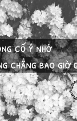 Không cố ý nhớ , nhưng chẳng bao giờ quên