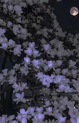 [Không CP/Fic Anime/Edit] Ta lừa gạt toàn bộ thế giới