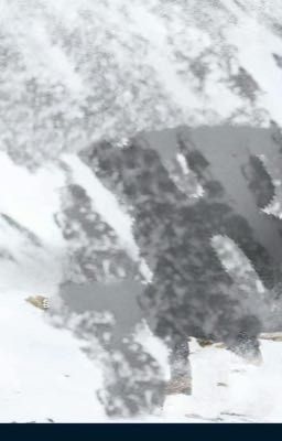 Không gặm à nha ....