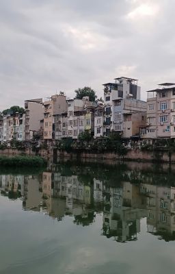 không gì cả.