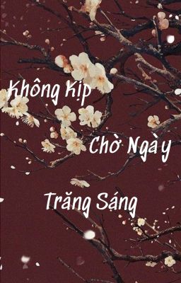 Không Kịp Chờ Ngày Trăng Sáng