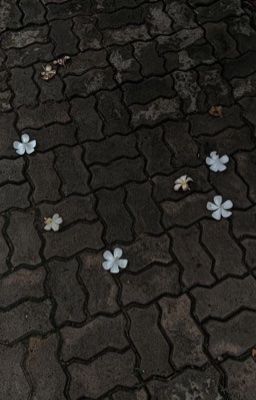 không mời mà đến ; woolong