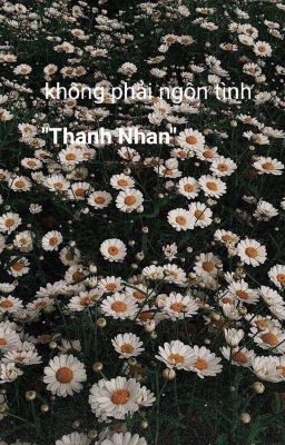 Không Phải Ngôn Tình,