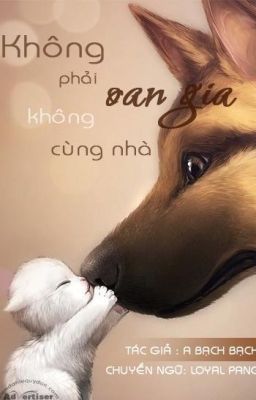 KHÔNG PHẢI OAN GIA KHÔNG CÙNG NHÀ