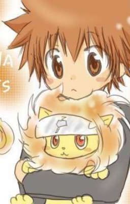 《KHR》Sawada Tsunayoshi Chi Mê Hoặc Thiếu Niên