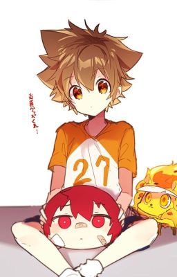 [KHR] Tsunayoshi-kun, gả cho ta đi!