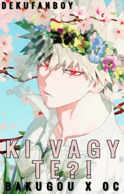 Ki vagy te?! (Bakugou x OC) [Befejezett]