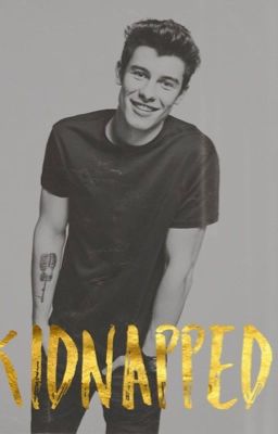 Kidnapped (Shawn Mendes)*COMPLETED*