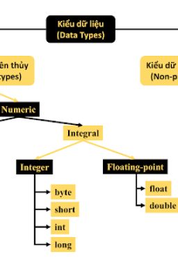 Kiểu Dữ Liệu (Data Types) Trong Java