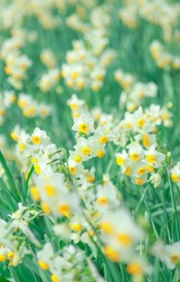 [kiincuzz] please me