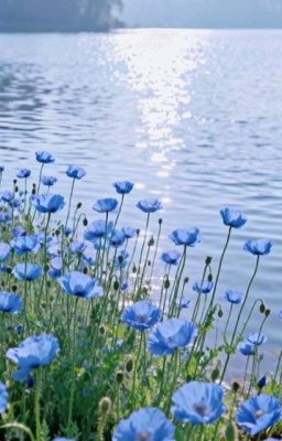 [kiincuzz] positions