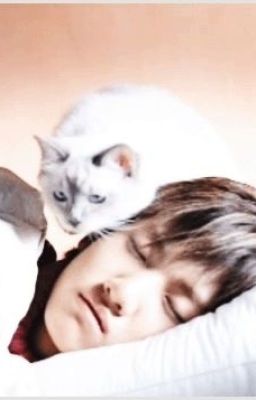 [Kimin Shortfic] The cat's return_complete