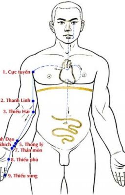 KINH THỦ THIẾU ÂM TÂM