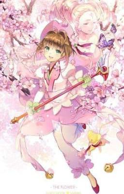 kinomoto sakura 