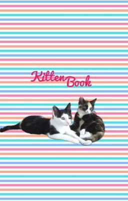 Kitten book