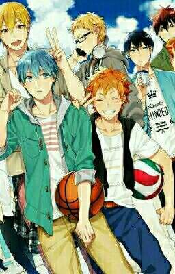 KNB et Haiyuu x Reader