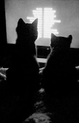 knghieu ☆o(><;)○ forelsket