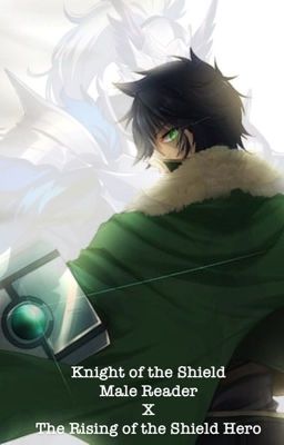 Knight of the Shield: Male Reader x The Rising of the Shield Hero