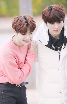 [KnowI.N] [SKZ ] The Hoán đổi | Shortfic