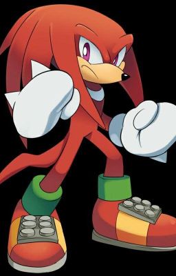 Knuckles x Reader