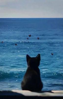 kny - một con ngồi yên, một con đổi chỗ