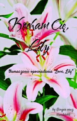 Kocham cię, Lily | Tłumaczenie