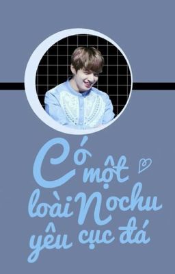 KookGa || Có một loài Nochu yêu Cục Đá